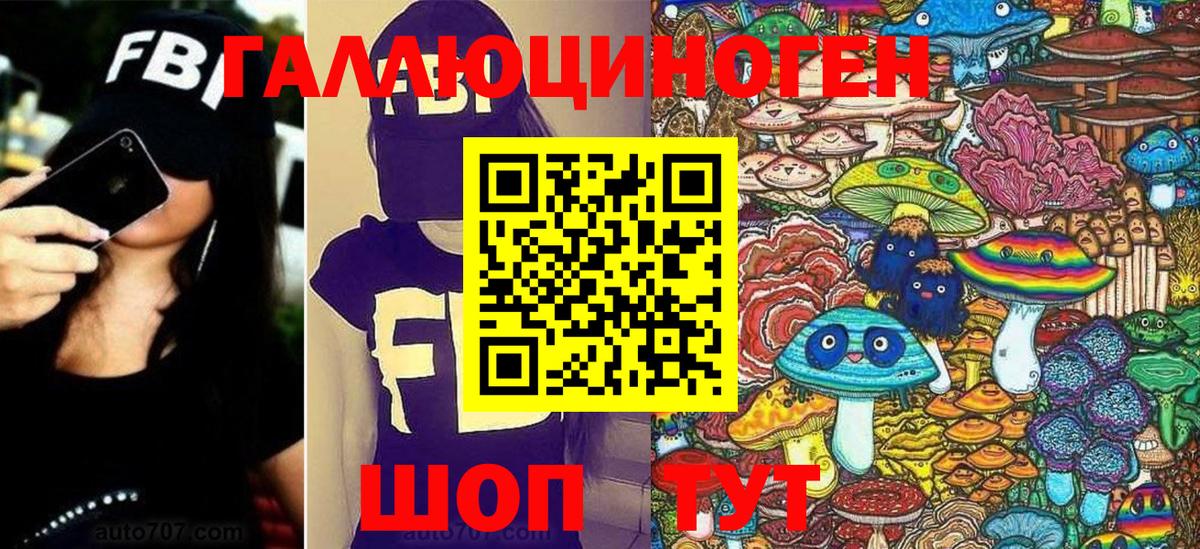 Псилоцибиновые грибы Psilocybine cubensis Малоярославец
