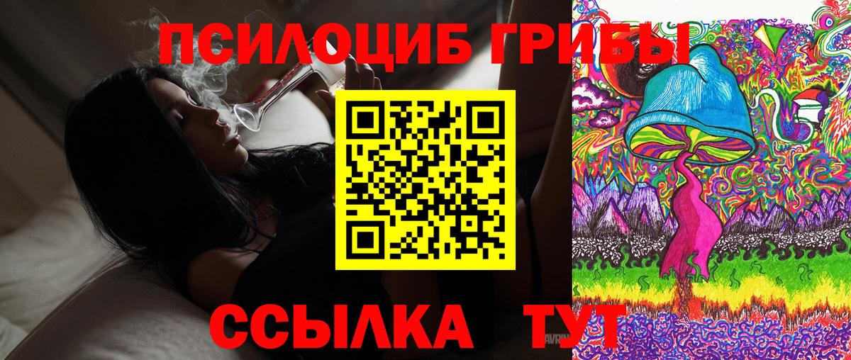 Псилоцибиновые грибы MAGIC MUSHROOMS  Галлюциногенные грибы Cubensis  Вход с VPN  Малоярославец 